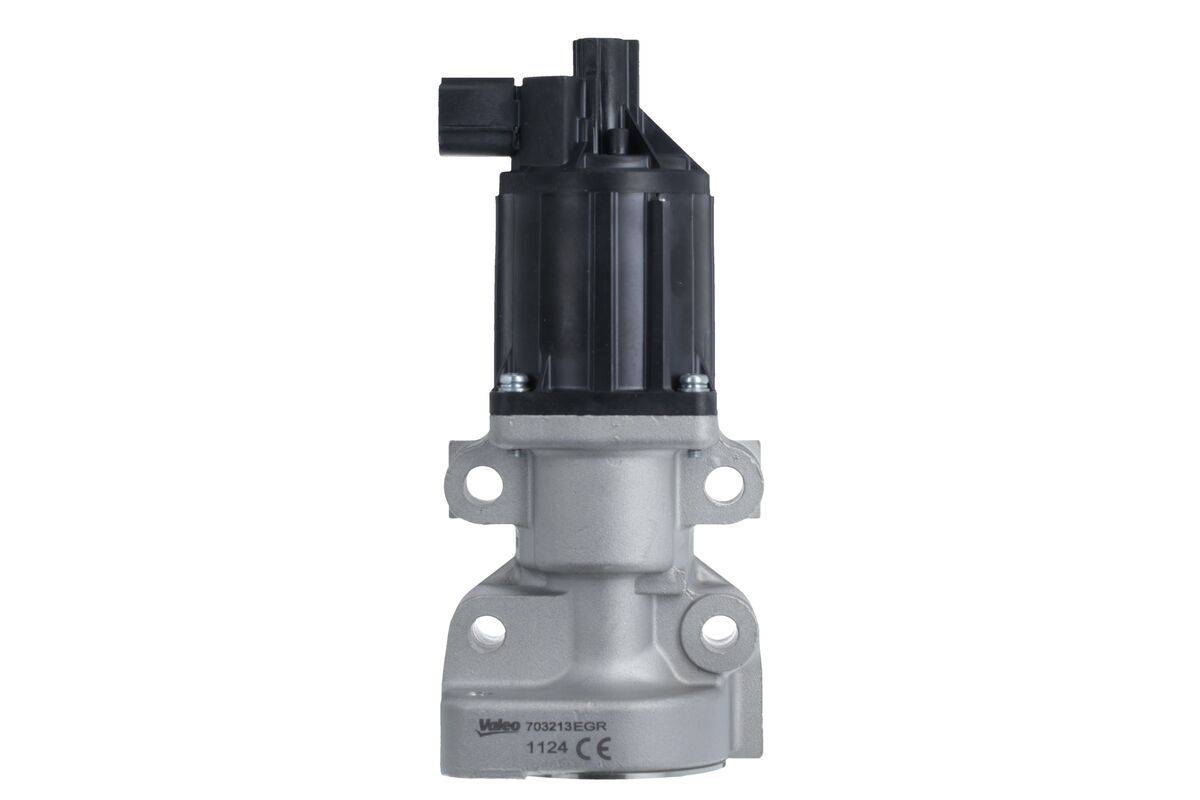 Valeo 703213 AGR-Ventil-0