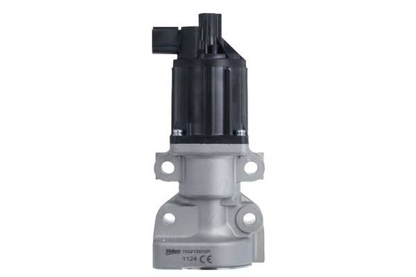 Valeo 703213 AGR-Ventil