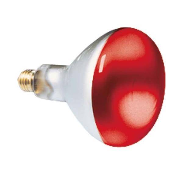 Scharnberger+Hasenbein Reflektorlampe 80x110mm