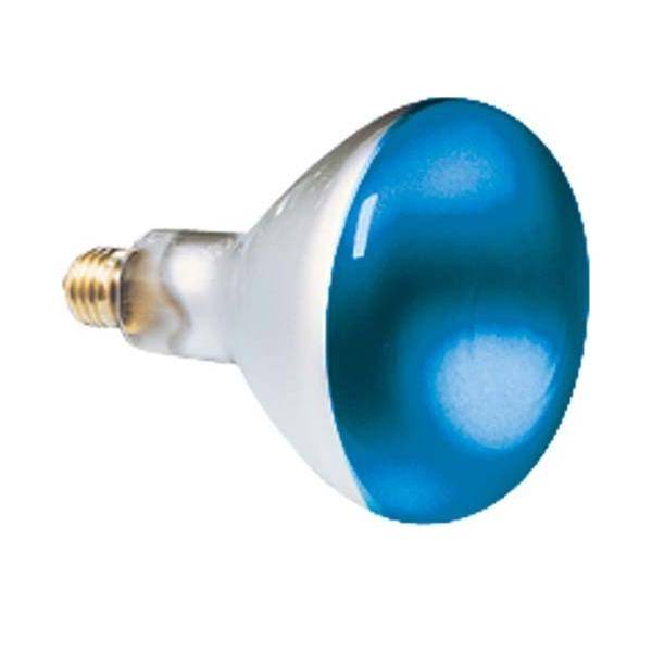 Scharnberger+Hasenbein Reflektorlampe 80x110mm