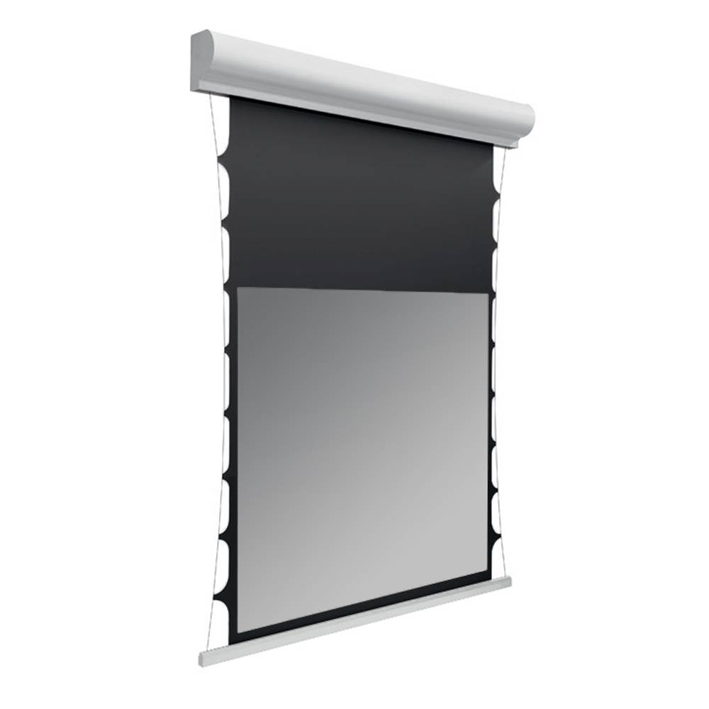 DELUXX Cinema Hochkontrast-Leinwand Tension II 220 x 124 cm, 100" - DAYVISION ALR-0