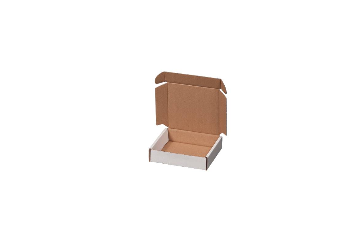 [VPE à 100] Maxibriefkarton Gr. 1, 160x113x42mm, weiß-1