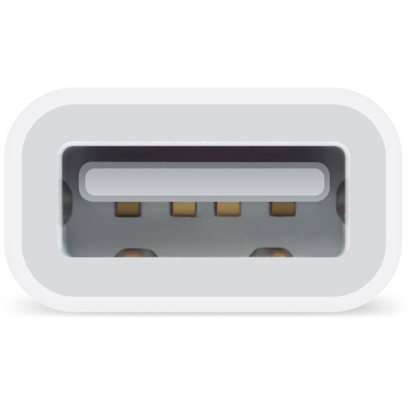 Lightning auf USB Kamera-Adapter-1