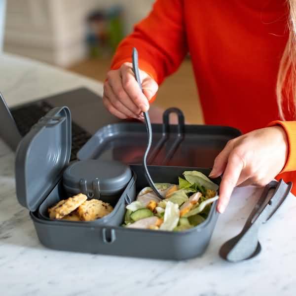 Lunchbox/Besteckset PASCAL READY 7168701 ash grey-1