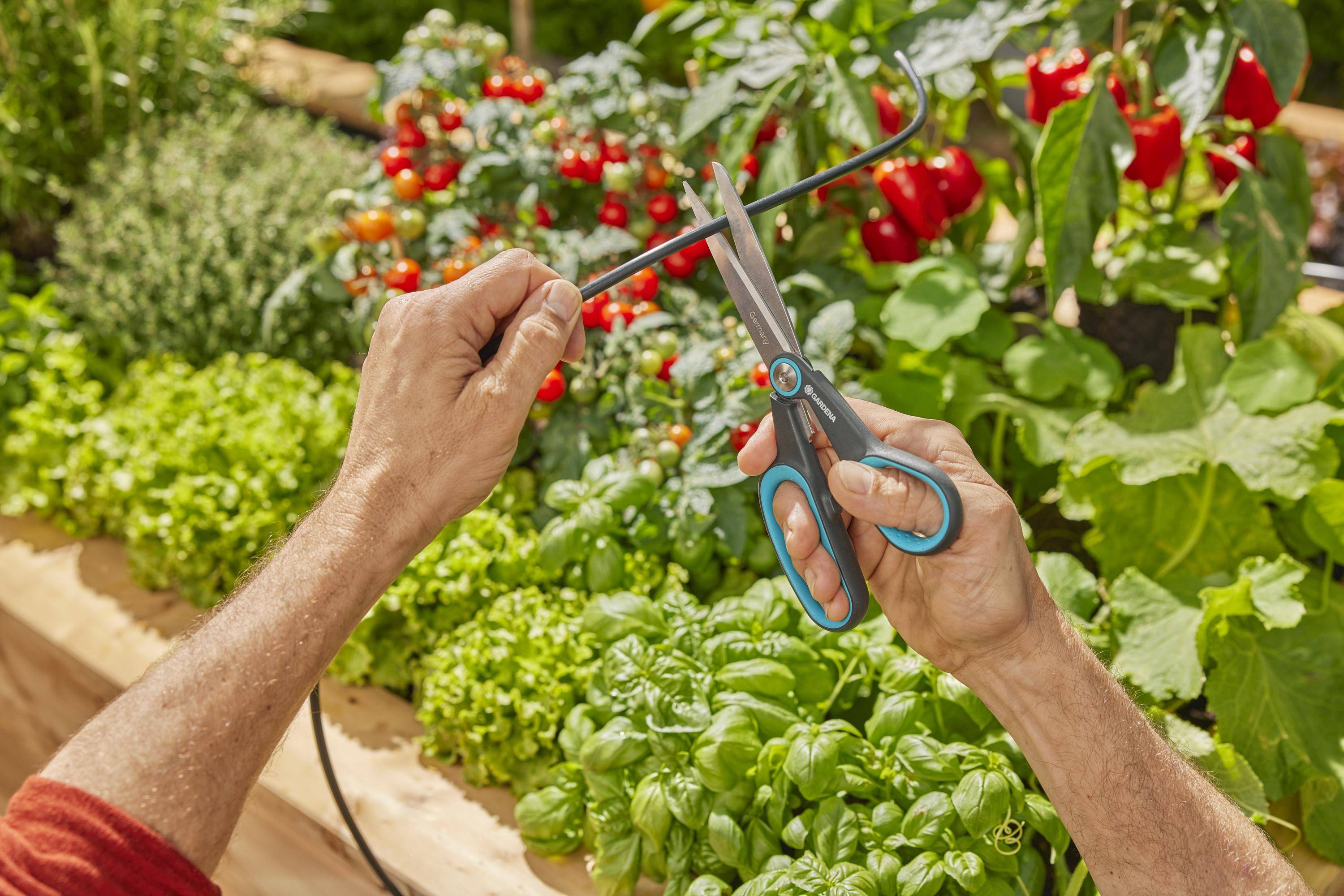GARDENA - Solar-Bewässerung AquaBloom L Set-3