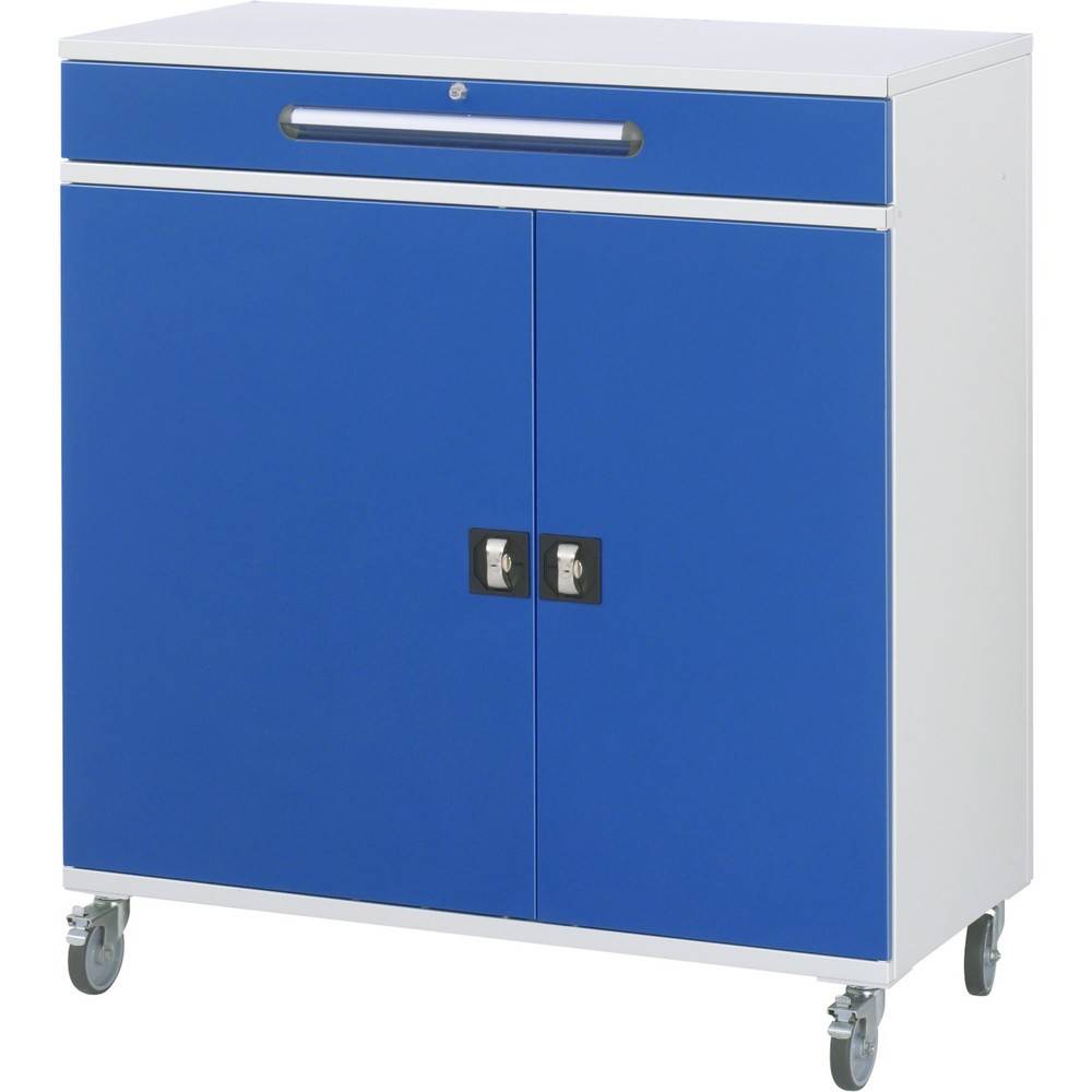 RAU mobiles Rollpult, HxBxT 1.185 x 1.100 x 520 mm, Schubladen 8 x 80-1