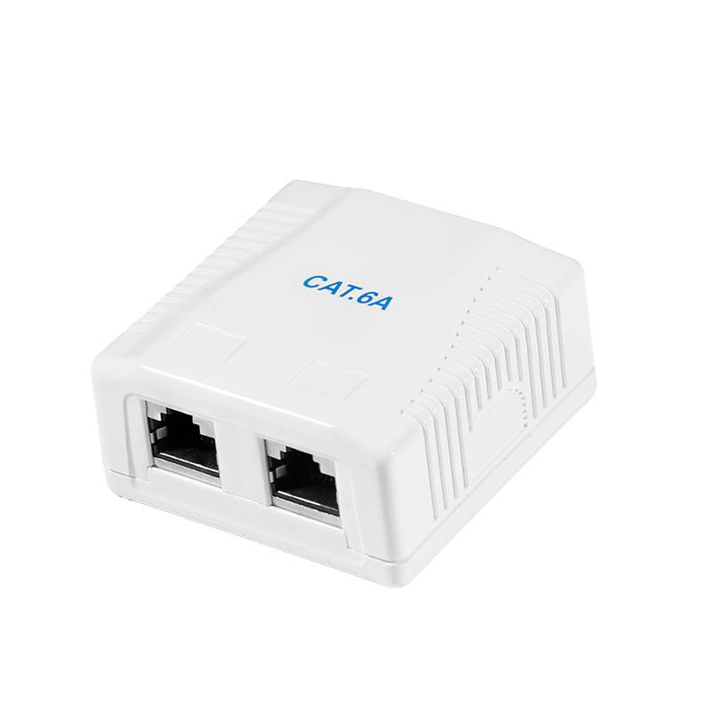Cat.6A Surface Mounted Box 2 x RJ45, shielded Kabel & Adapter-5
