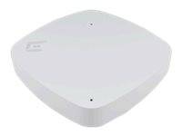 Extreme Networks AP3000 - Accesspoint - Wi-Fi-1