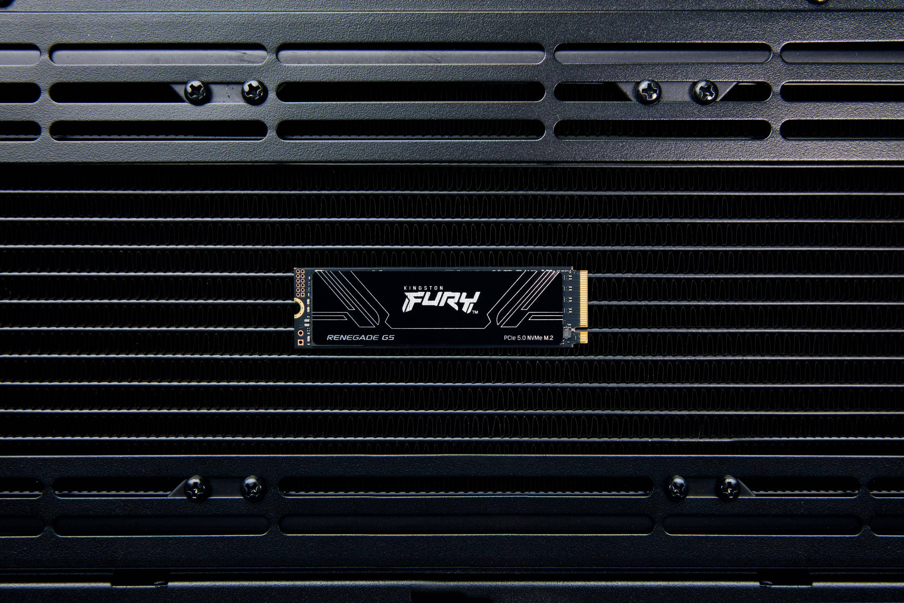 Kingston Technology FURY Renegade G5 SSDs Interne-2