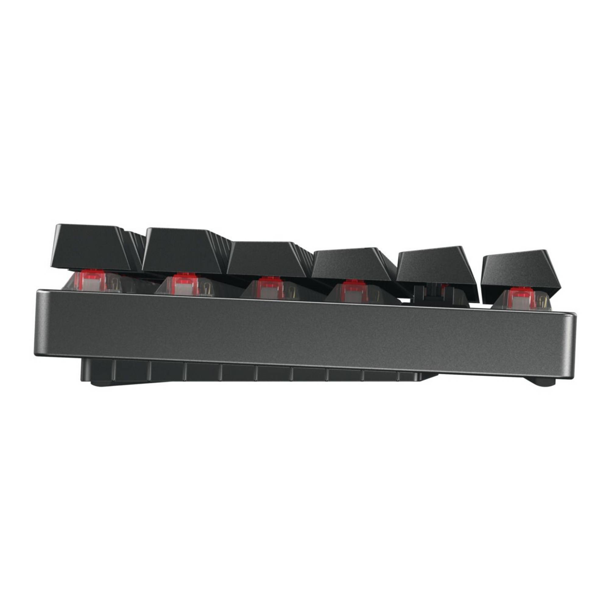 Cherry MX 8.2 - Tastatur - 80% - TKL - Hintergrundbeleuchtung - TL: Deutsch, QWERTZ-1