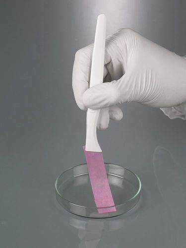 Einweg-Pinzette, Großpackung, breite Spitze, 130 mm, VE = 100 Stück-3