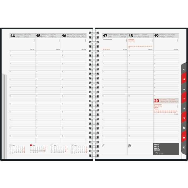 rido idé Buchkalender "studioplan int. Tejo", 2026, grau-1