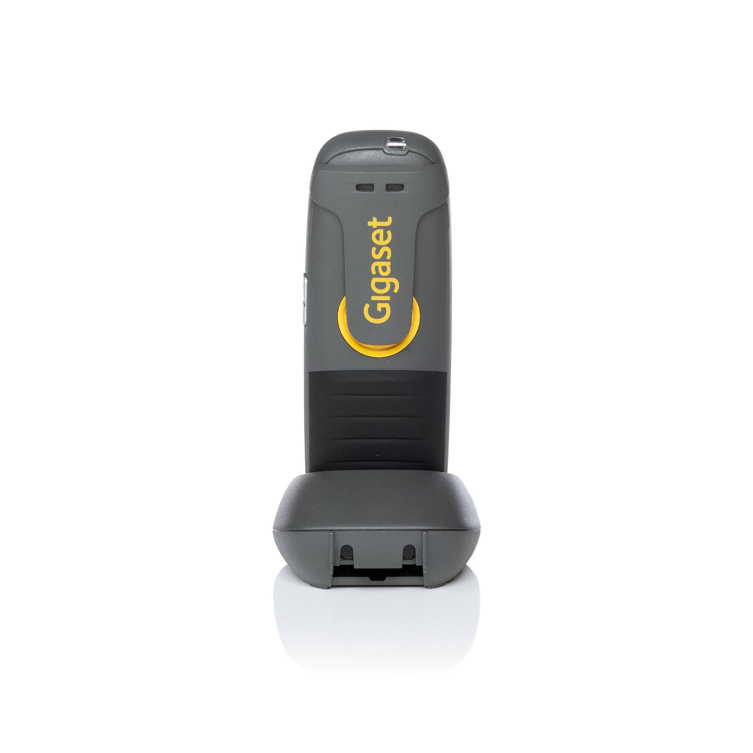 Gigaset R650H-PRO Netzwerkgerät-2
