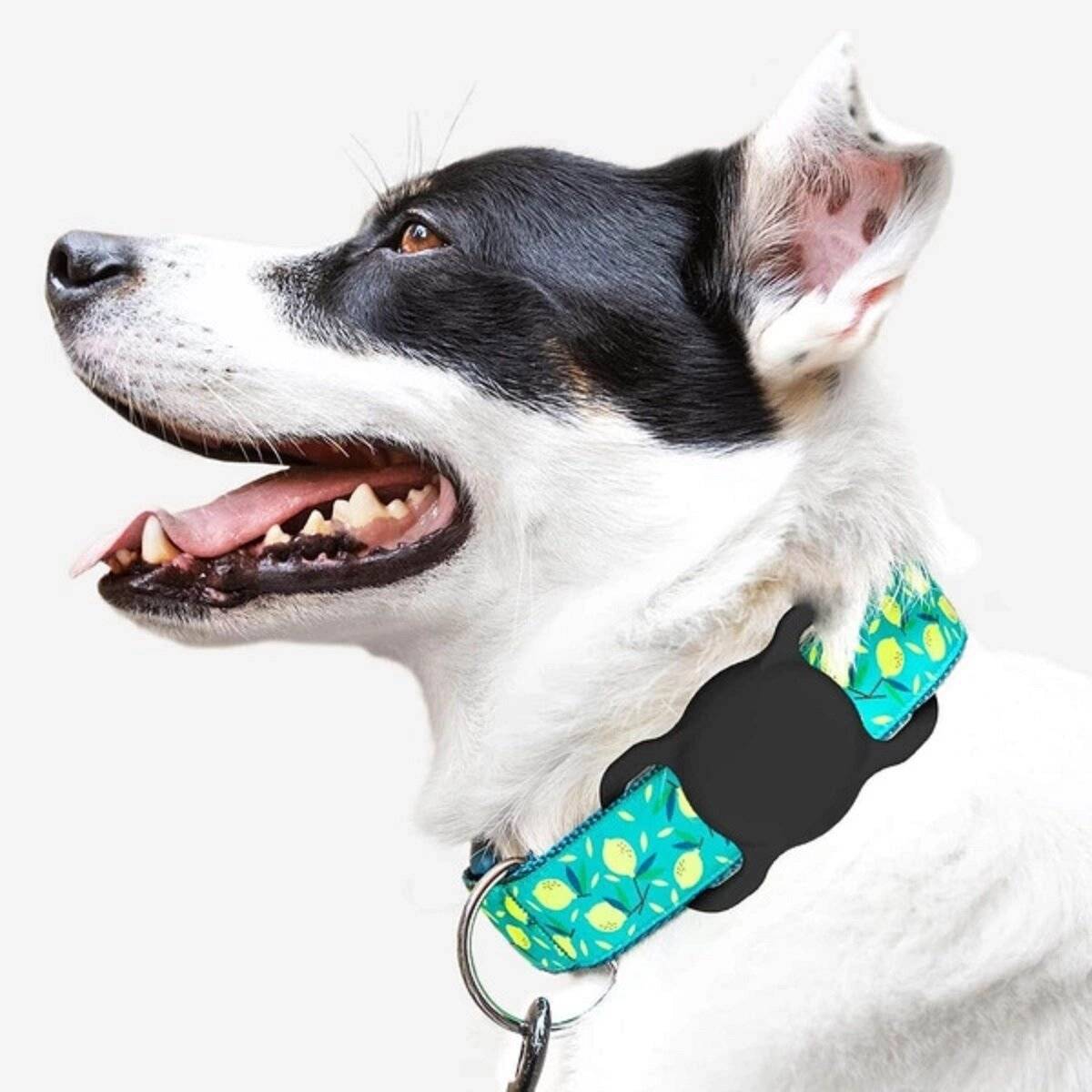 Silikonhülle kompatibel mit Apple AirTag für Hunde- oder Katzenhalsband - Schwarz-1