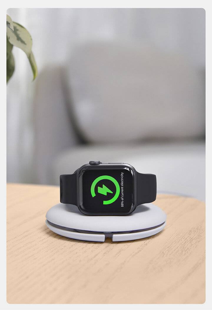 Preisbild für Organizer / AppleWatch-Ladehalter (schwarz)