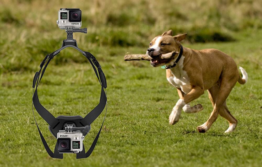 Puluz - PU156 - Hundebrustgurt PULUZ für Actionkameras (GoPro, Insta360, DJI Action etc.)-1