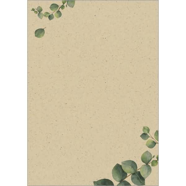 Motiv-Papier A4 100g Graspapier Eucalyptus 100 Blatt