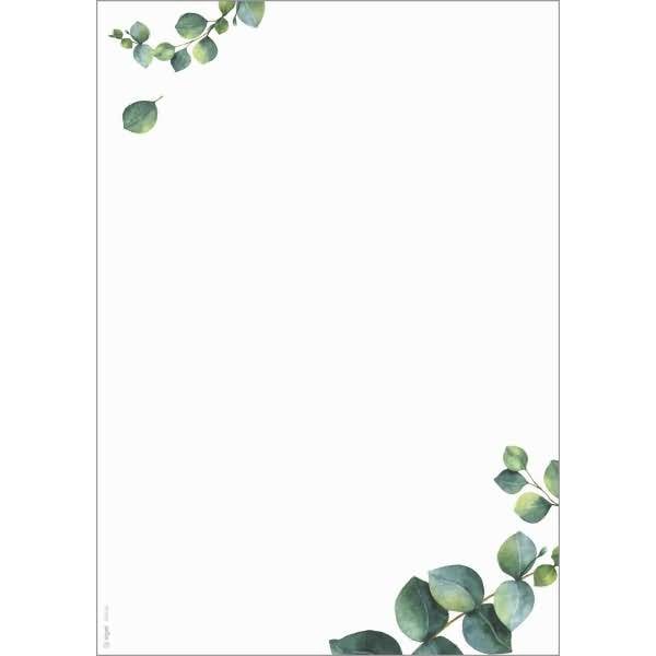 Motiv-Papier A4 90g Eucalyptus 100 Blatt-0