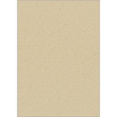 Graspapier A4 100g Blank grass paper 100 Blatt