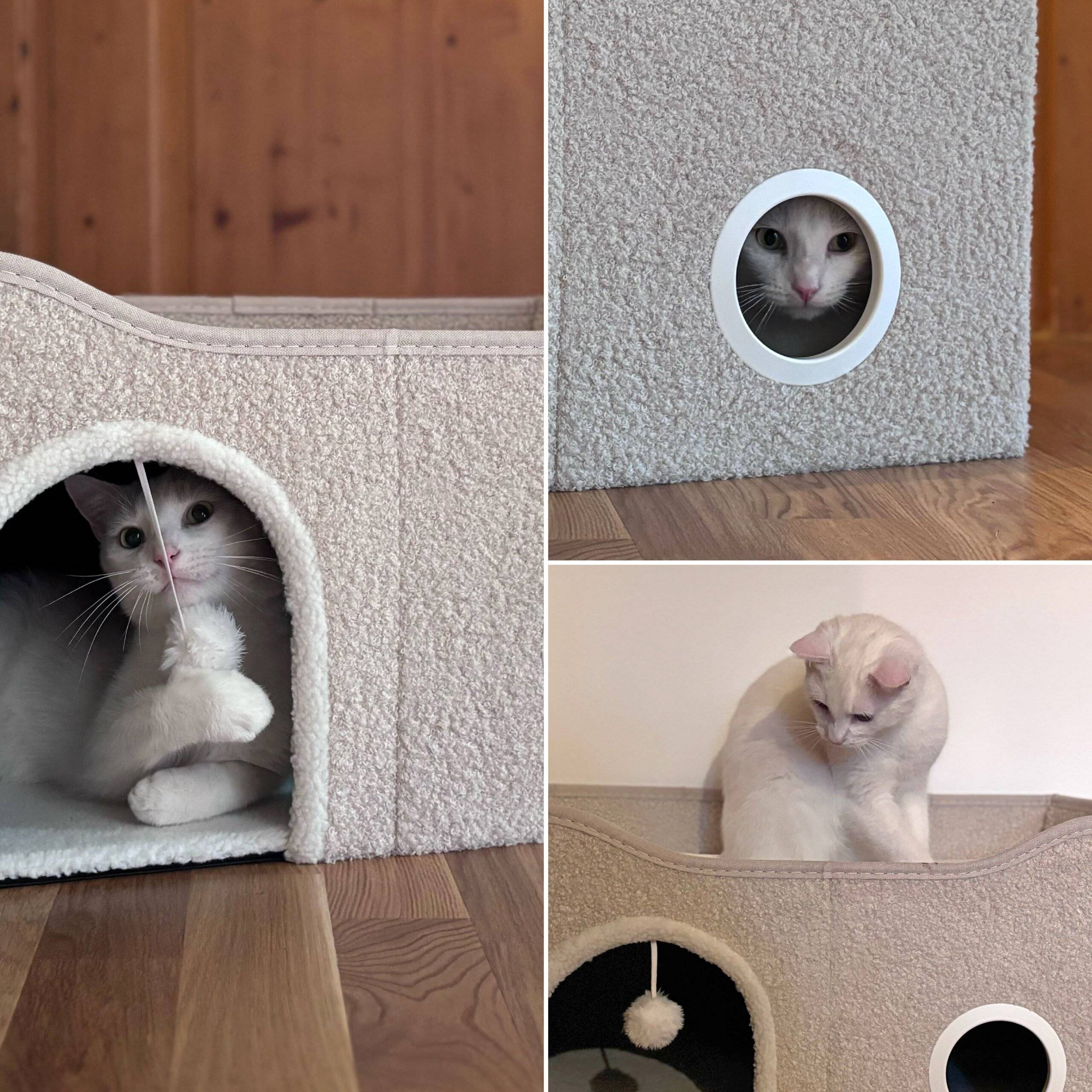 Katzenhaus Katzenhöhle PAWY EB eckig faltbar mit Spielzeug beige hjh LIVING-4