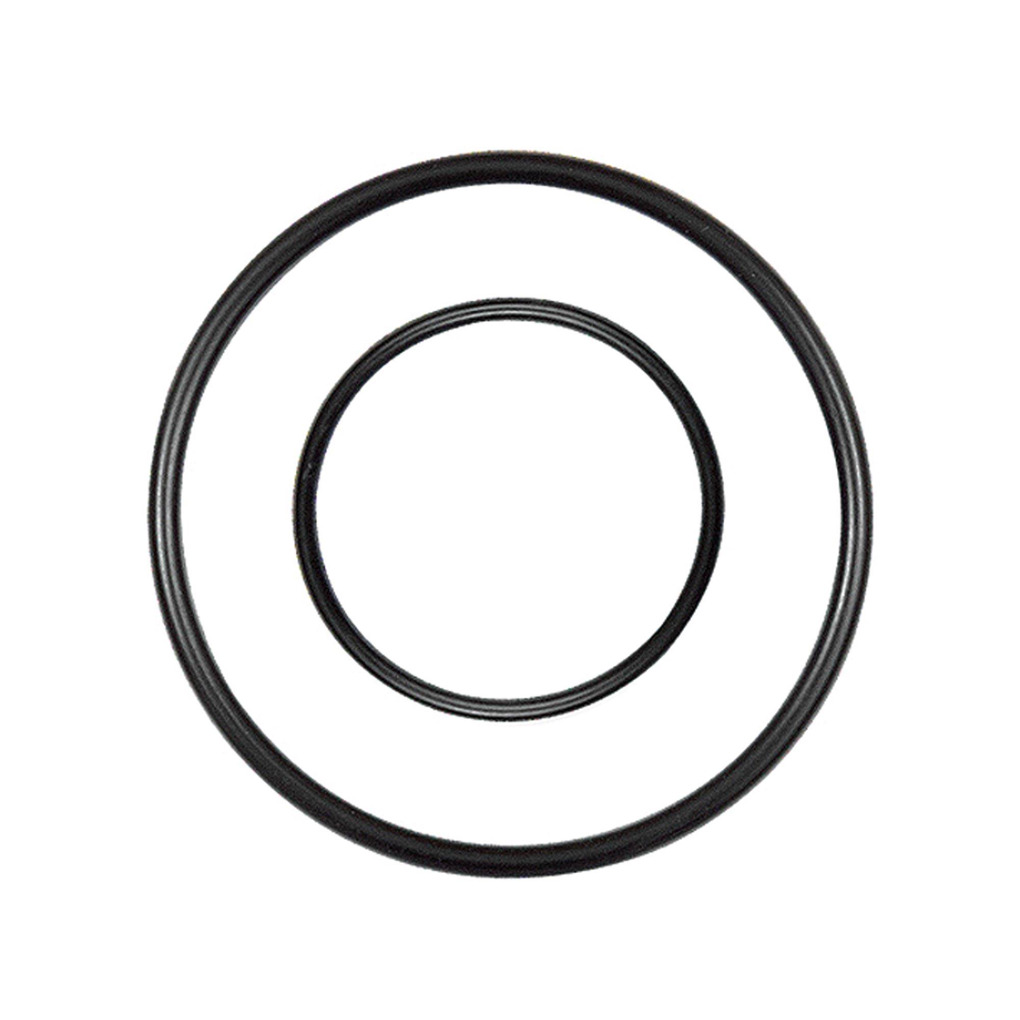 RIEGLER Ersatzdichtung für Edelstahl-Filter und Edelstahl-Filterregler, BG 3, G 1/2 und G 3/4.-0