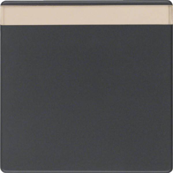 Berker Wippe m. Beschriftungsfeld MAN0200223-0