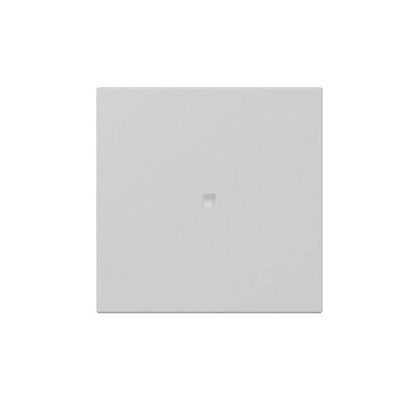 Gira Wippe gerade Kontrollf. 3490015-0