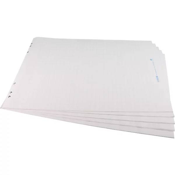 Flipchartpapier Eco kariert VE 5 Stk Format 1000 x 650 mm. Smit Visual Supplies BV 84092549