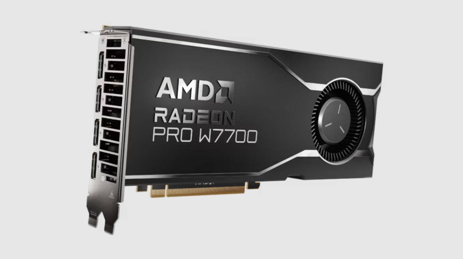 AMD Radeon Pro W7700 - Grafikkarten - Radeon Pro W7700-2