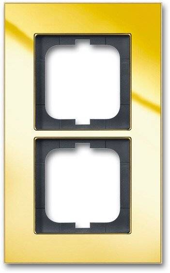 Busch-Jaeger Rahmen 2-fach 1722-823-101-1