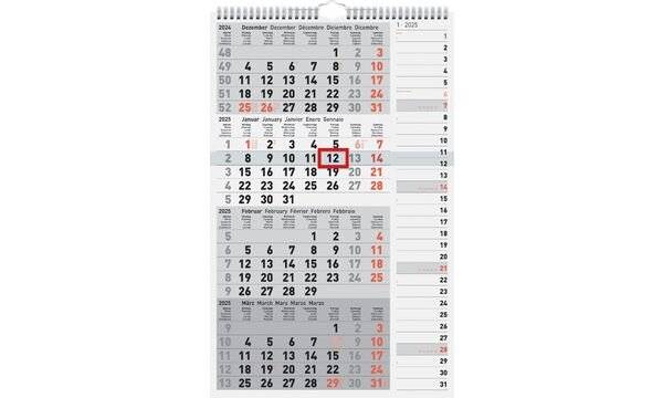 rido idé Wandkalender 4-Monatskalender Kombi Planer 4, 2020 (6250154)-0
