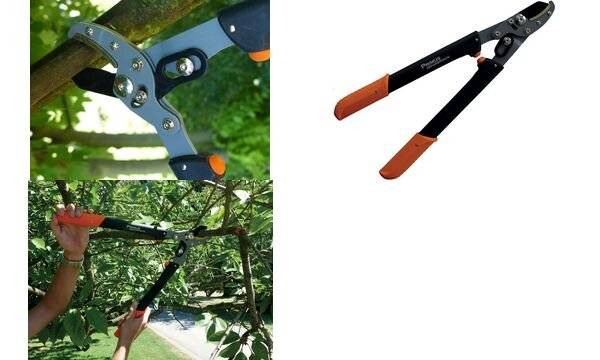 Garten PRIMUS Damen-Astschere, Länge: 470 mm-1