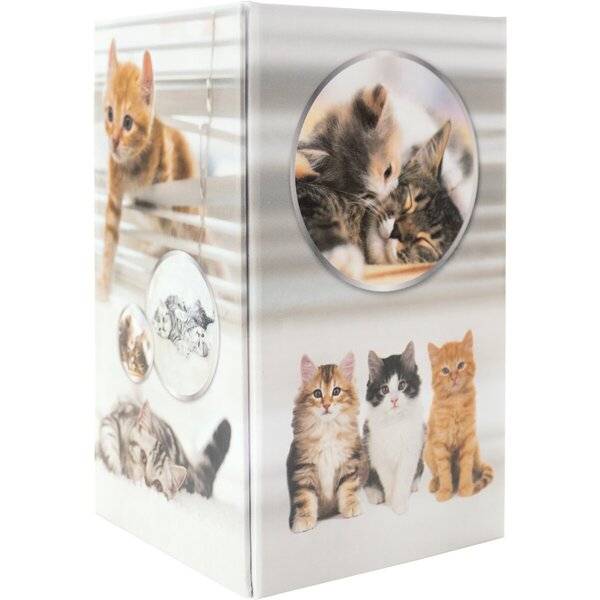 Stifteköcher Karton Katzen-0