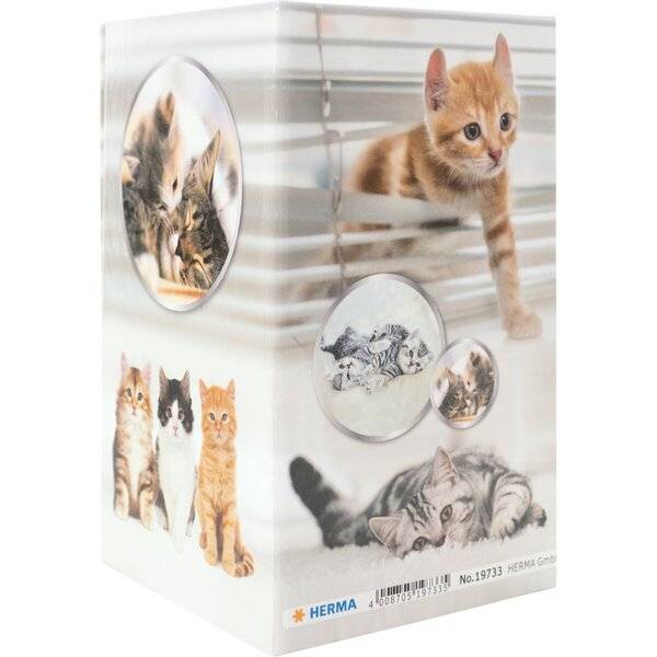 Stifteköcher Karton Katzen-1