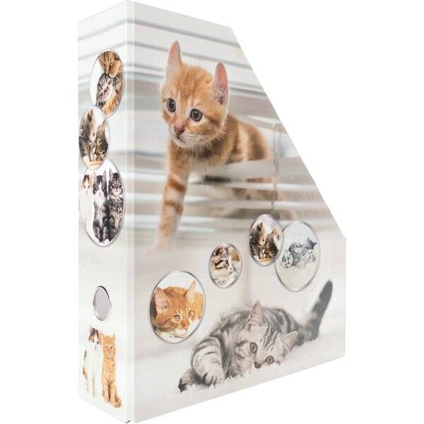 Stehsammler Karton Katzen-1
