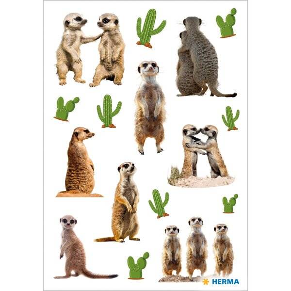 Schmucketikett DECOR Erdmännchen-0
