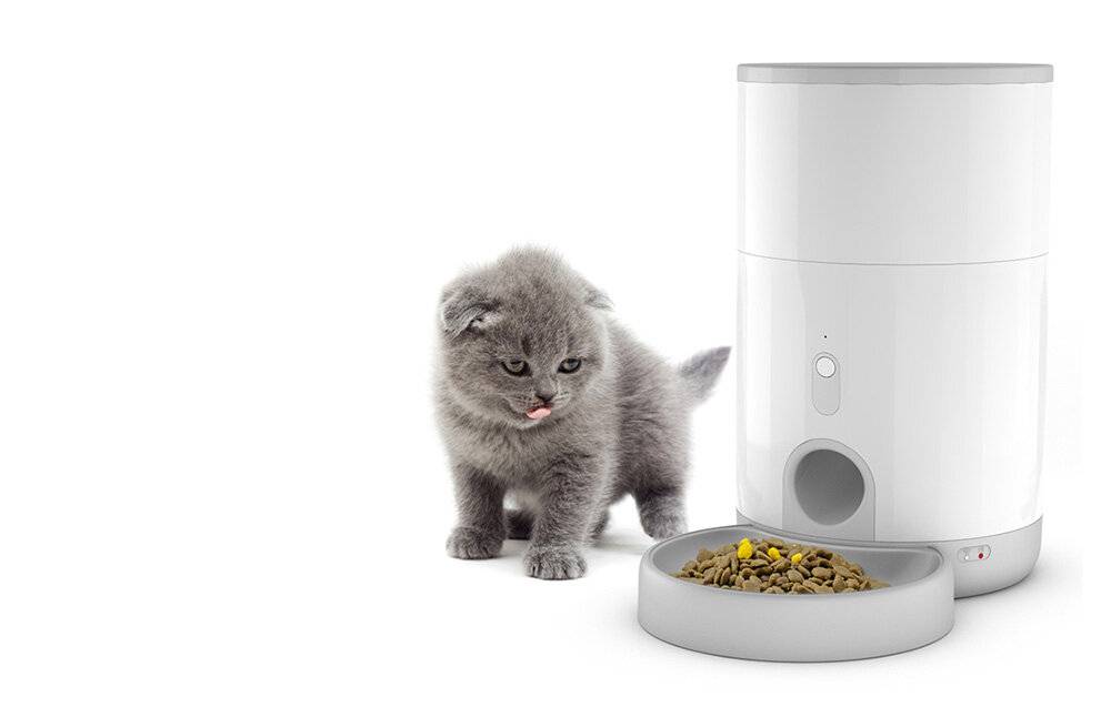 Intelligenter Futterspender Petoneer Nutri Mini-4