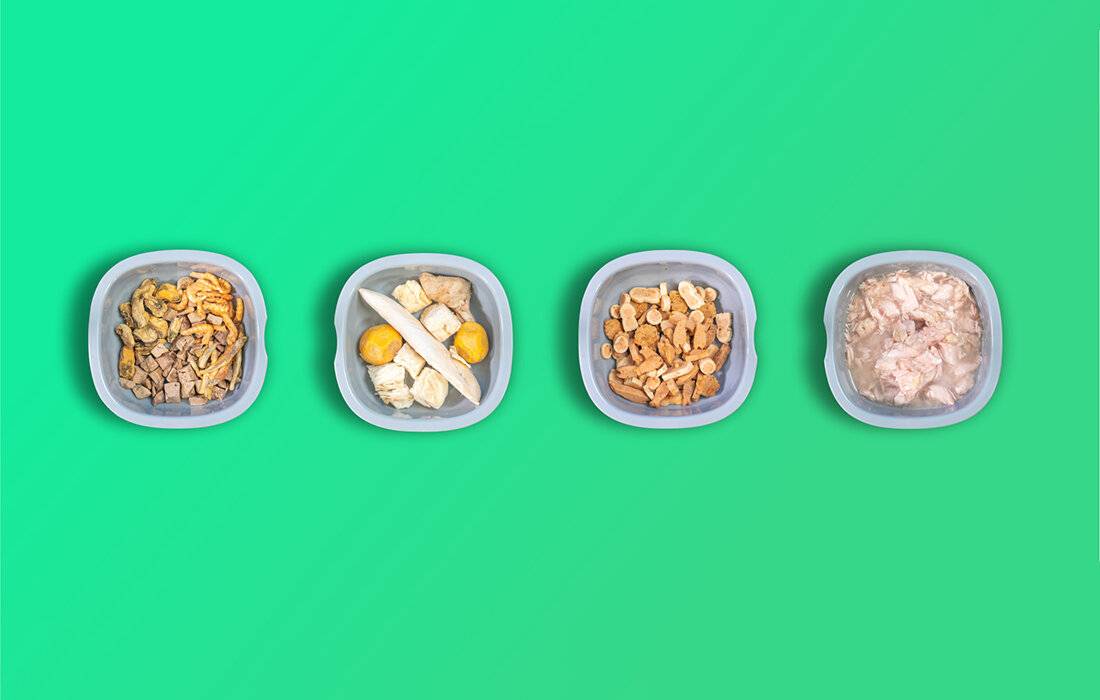 Preisbild für Zwei-Mahlzeiten-Futterschale Smart Bowl mit Kühlung Petoneer