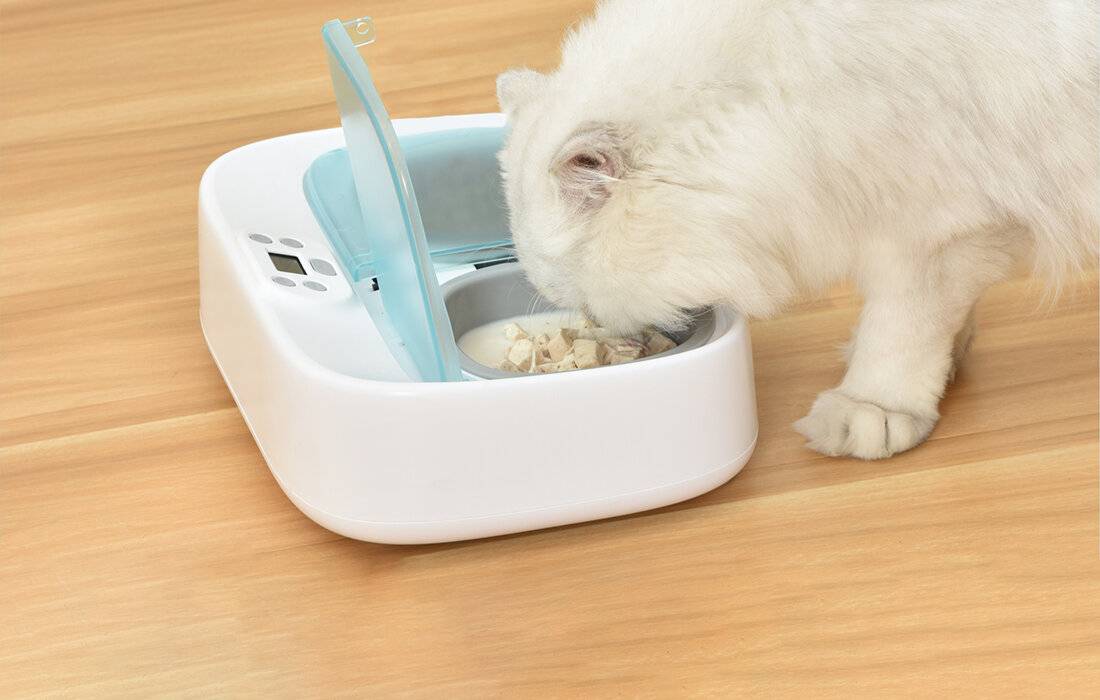 Preisbild für Zwei-Mahlzeiten-Futterschale Smart Bowl mit Kühlung Petoneer