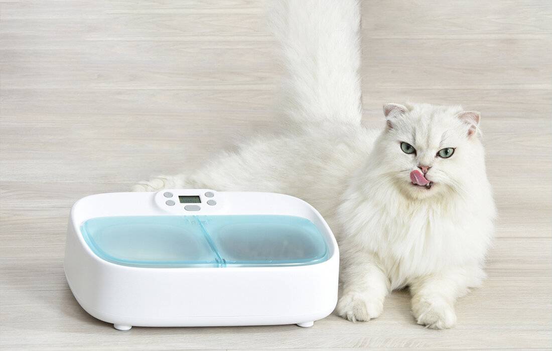 Zwei-Mahlzeiten-Futterschale Smart Bowl mit Kühlung Petoneer-1
