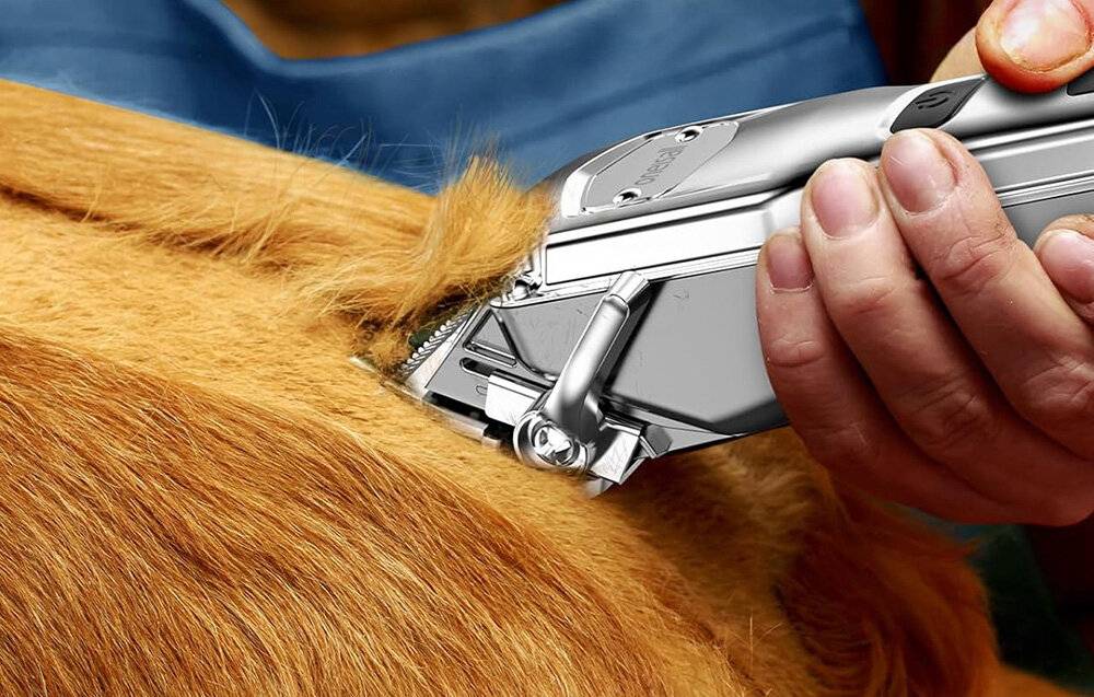 Preisbild für Oneisall RFC-676 + P20 Scherenset für Haustiere