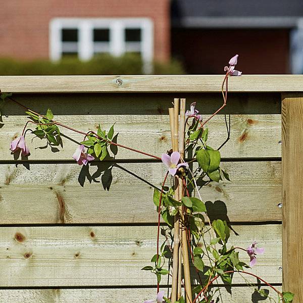PLUS Klink Profilzaun Holz BxH 1740 x 1290 mm natur. PLUS AS 84162249-1