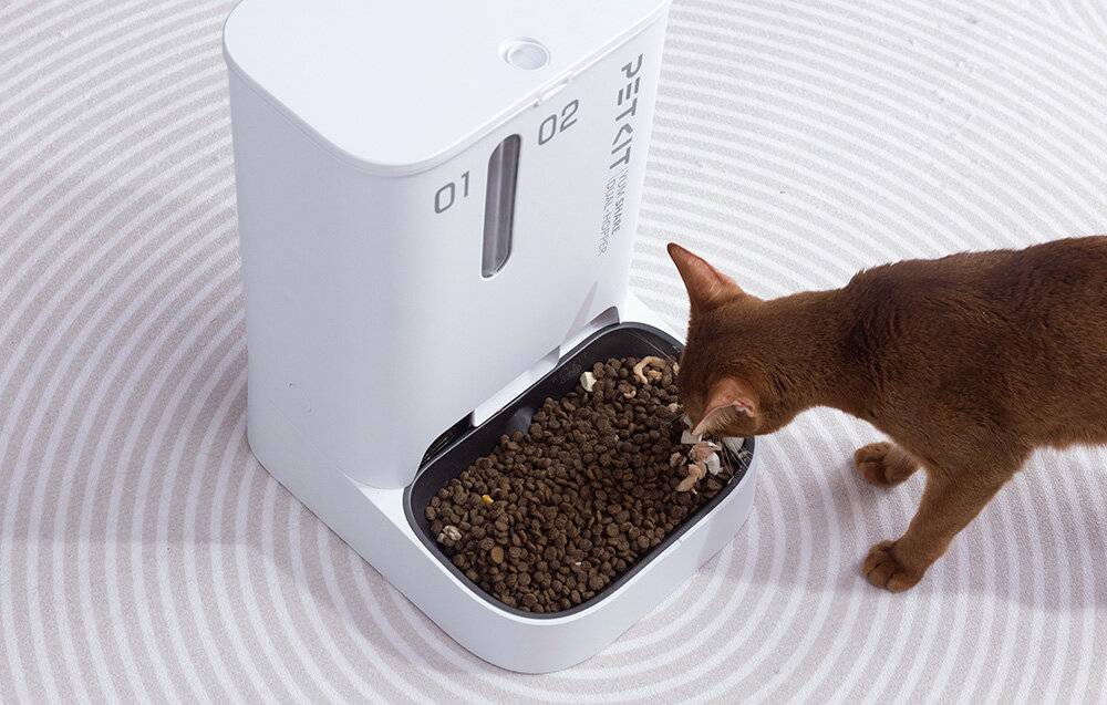 Petkit Futterautomat YumShare Dual-Hopper mit Kamera-2