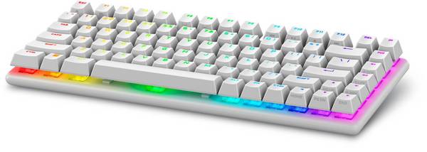 Alienware Pro Wireless Gaming Keyboard - Tastatur - 75% - compact TKL - AlienFX Per-Key RGB / 16,8 Millionen Farben - ka