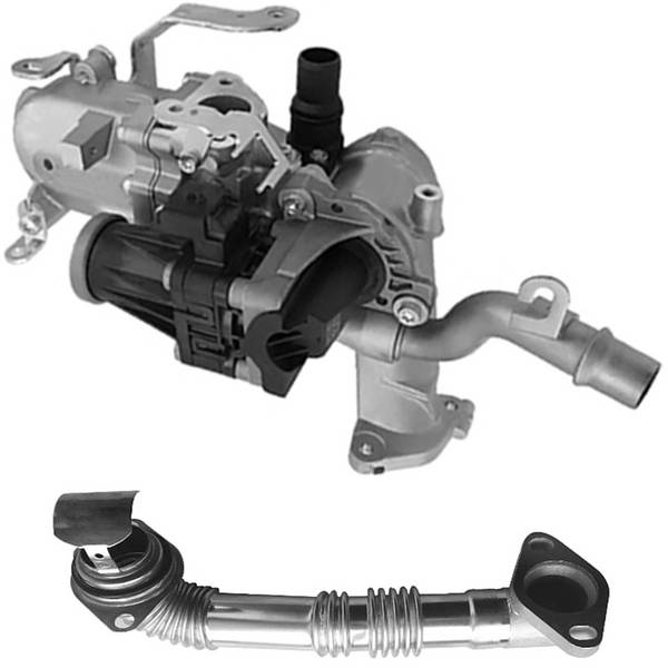 AGR-Modul elektrisch mit Dichtungen PARTSTEC für u.a. PEUGEOT PARTNER
