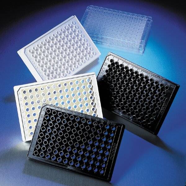 Corning Microplate, 96 Well, Polystyrene, Black, Flat Bottom, Not Treated, no Lid-0