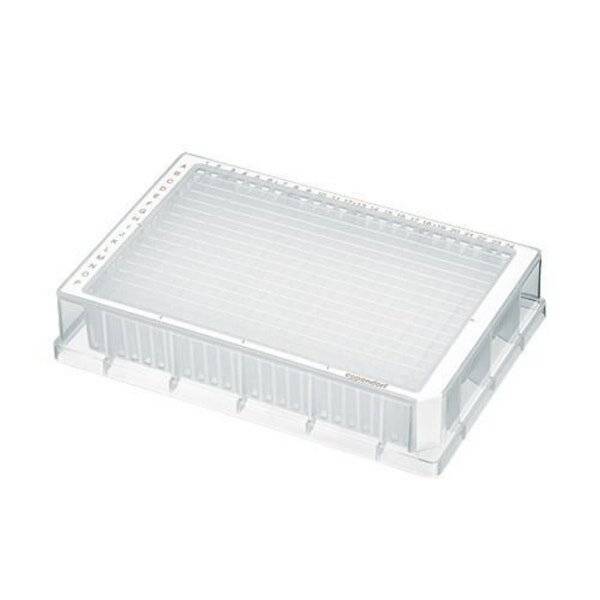Eppendorf Deepwell Plate 384/200 µL, Protein LoBind, Wells farblos, 200 µL, PCR clean,-0