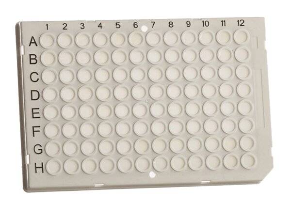 neoLab® 96well PCR-Platte, Vollrand, Niederprofil, klar