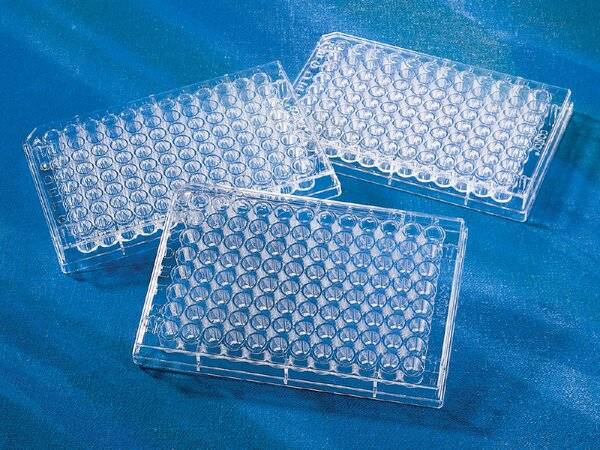 Corning® 96-well Clear Round Bottom TC-treated Microplate, 25 per Bag, without Lid, Sterile-0
