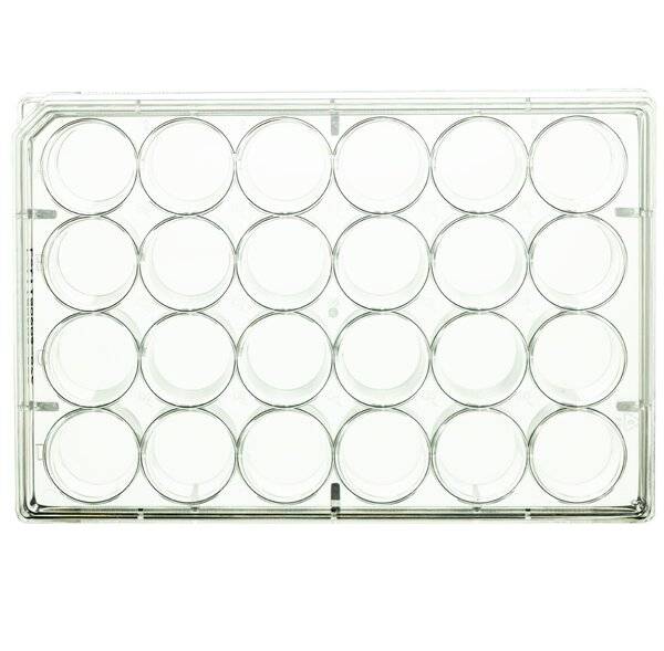 neoCulture Multitestplatten 24 Well, flacher Boden, PS, steril, einzeln steril verpackt,-0